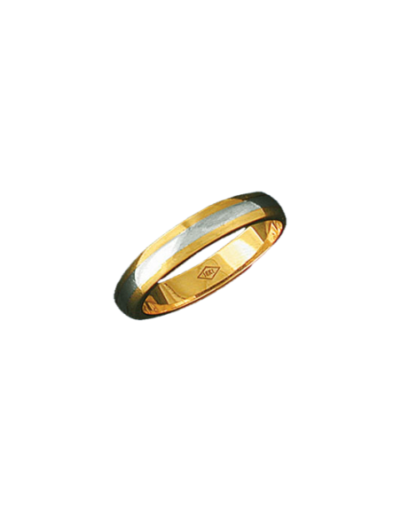 Alianza bicolor 0360