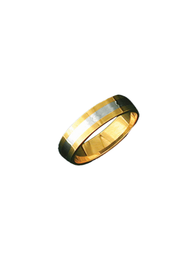 Alianza bicolor 0362