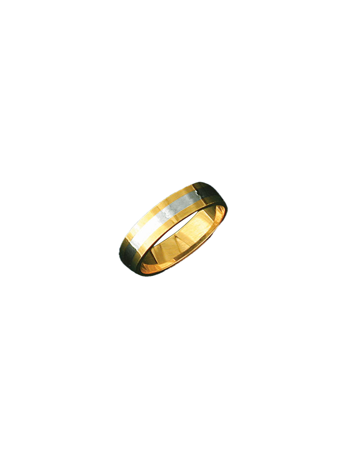 Alianza bicolor 0362
