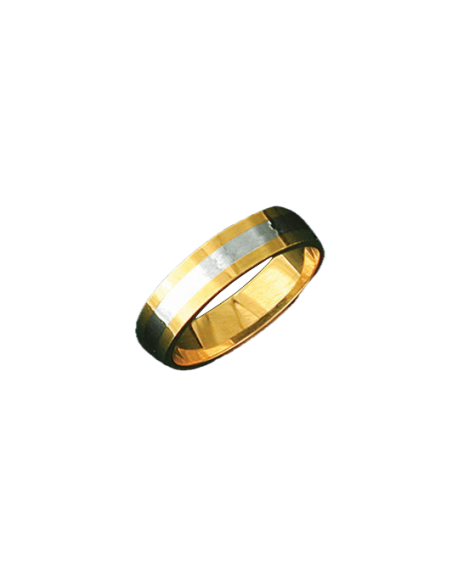 Alianza bicolor 0362