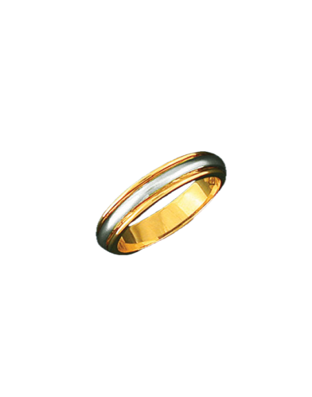 Alianza bicolor 0366