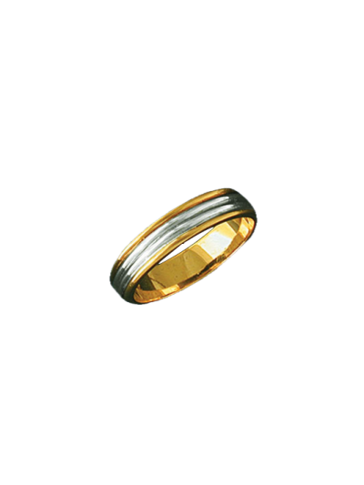 Alianza bicolor 0368