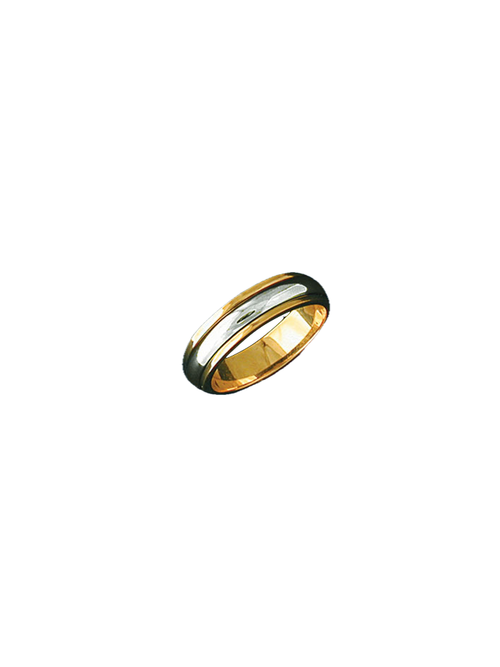 Alianza bicolor 0370