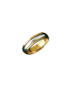 Alianza bicolor 0370