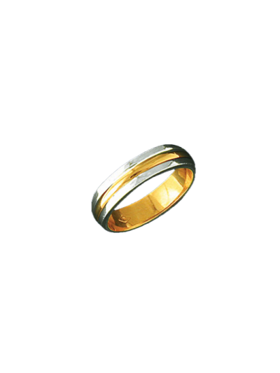 Alianza bicolor 0372