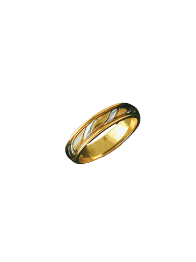 Alianza bicolor 0374