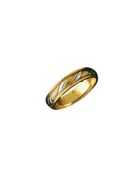Alianza bicolor 0374