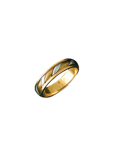 Alianza bicolor 0376