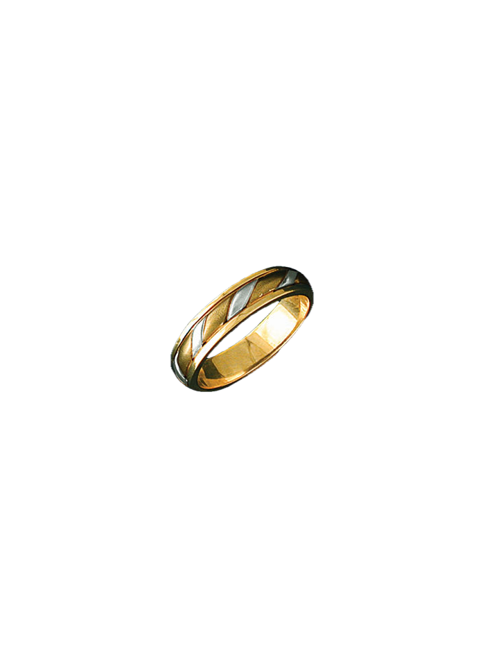 Alianza bicolor 0376