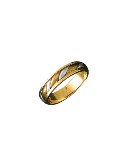 Alianza bicolor 0376