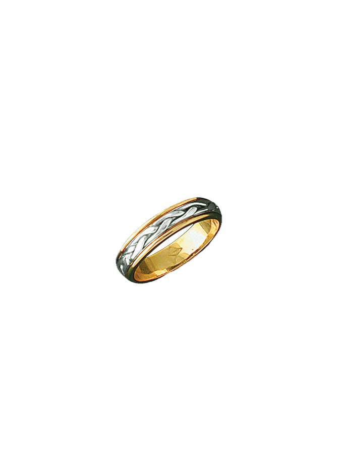 Alianza bicolor 0378
