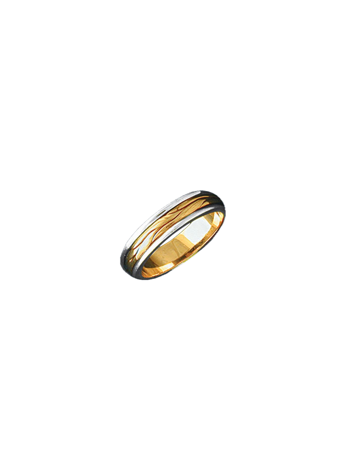 Alianza bicolor 0380
