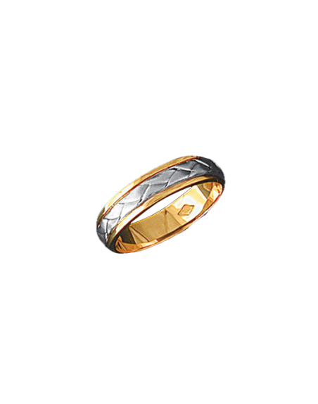 Alianza bicolor 0384