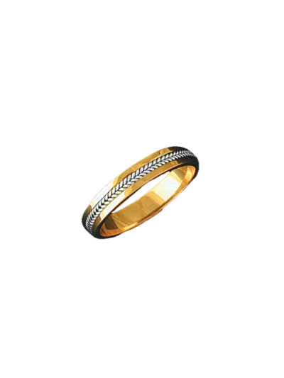 Alianza bicolor 0386