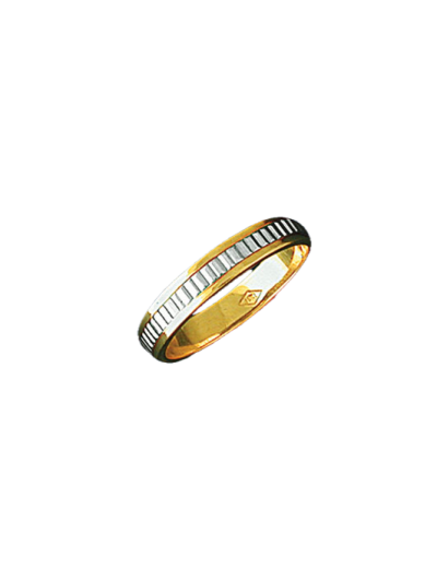 Alianza bicolor 0392