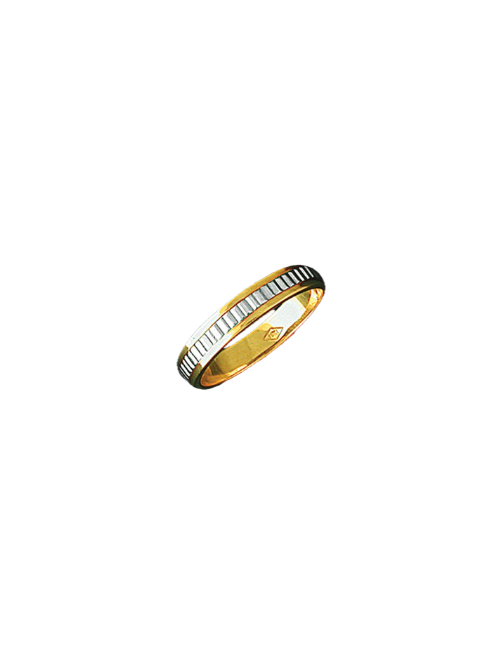 Alianza bicolor 0392