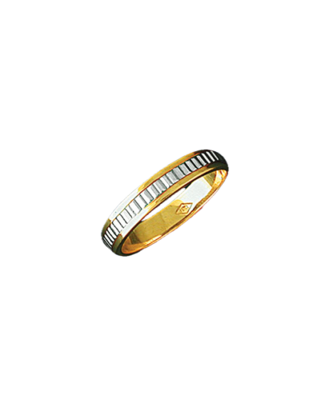 Alianza bicolor 0392