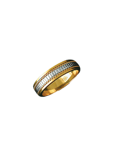 Alianza bicolor 0394