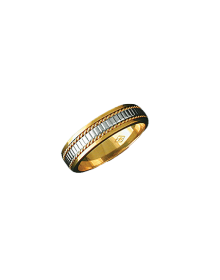 Alianza bicolor 0394